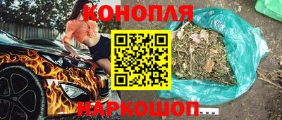 гашик Можга