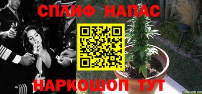 гашик Можга