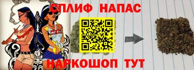 гашик Можга