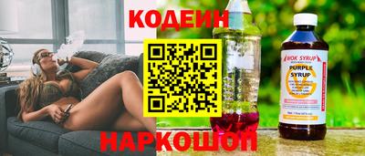 гашик Можга