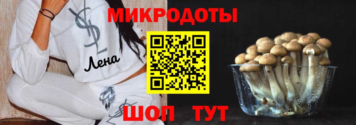 Будённовск  Галлюциногенные грибы MAGIC MUSHROOMS  Псилоцибиновые грибы Magic Shrooms  Вход с VPN 